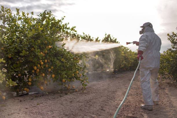 Trusted Lafayette, OR Pest Control Experts